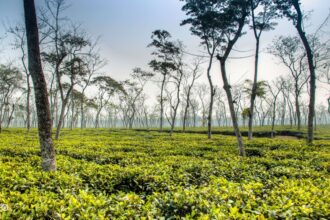 সিলেট জেলা - গোআরিফ