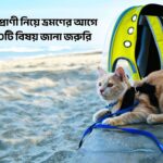 পোষা প্রাণী নিয়ে ভ্রমণের আগে যে ১০টি বিষয় জানা জরুরি - GoArif